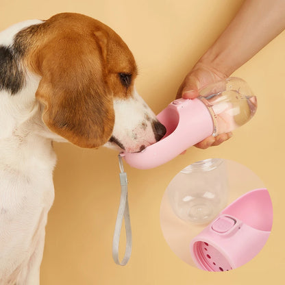 Bouteille d'eau pour chien