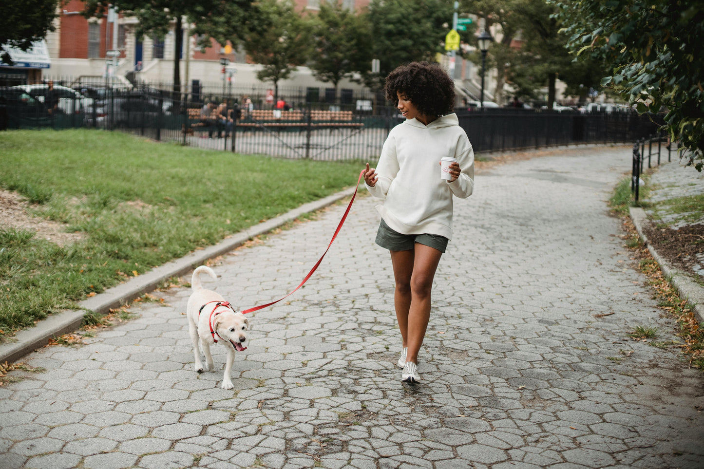 Pack promenade